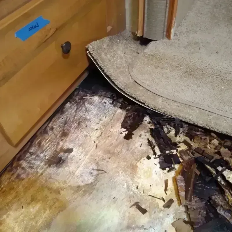 Best Wood Floor Water Damage Service in Oxon Hill-Glassmanor, MD